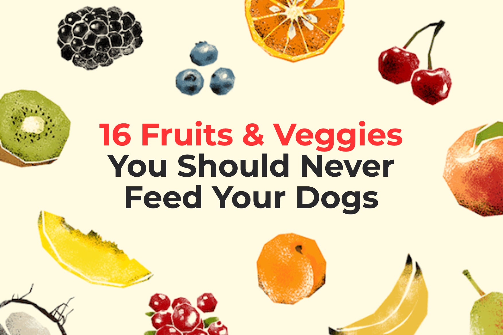 16 Fruits Veggies You Should Never Feed Your Dogs Petcube Singapore